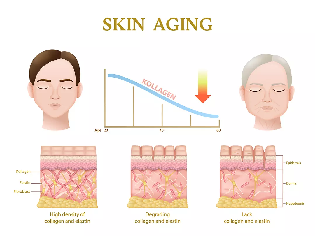 skin aging